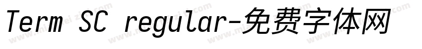 Term SC regular字体转换